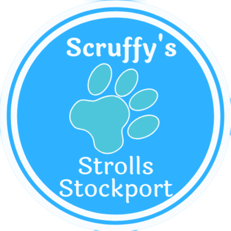 Dog Walking & Pet Care