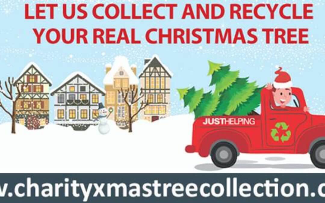 Christmas Tree Collection in Aid of St Ann’s Hospice